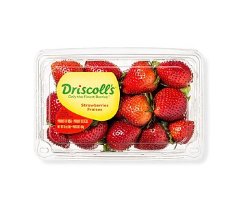 Fresh Organic Strawberry