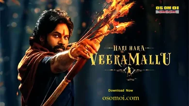 Hari Hara Veera Mallu Movie Review 2025