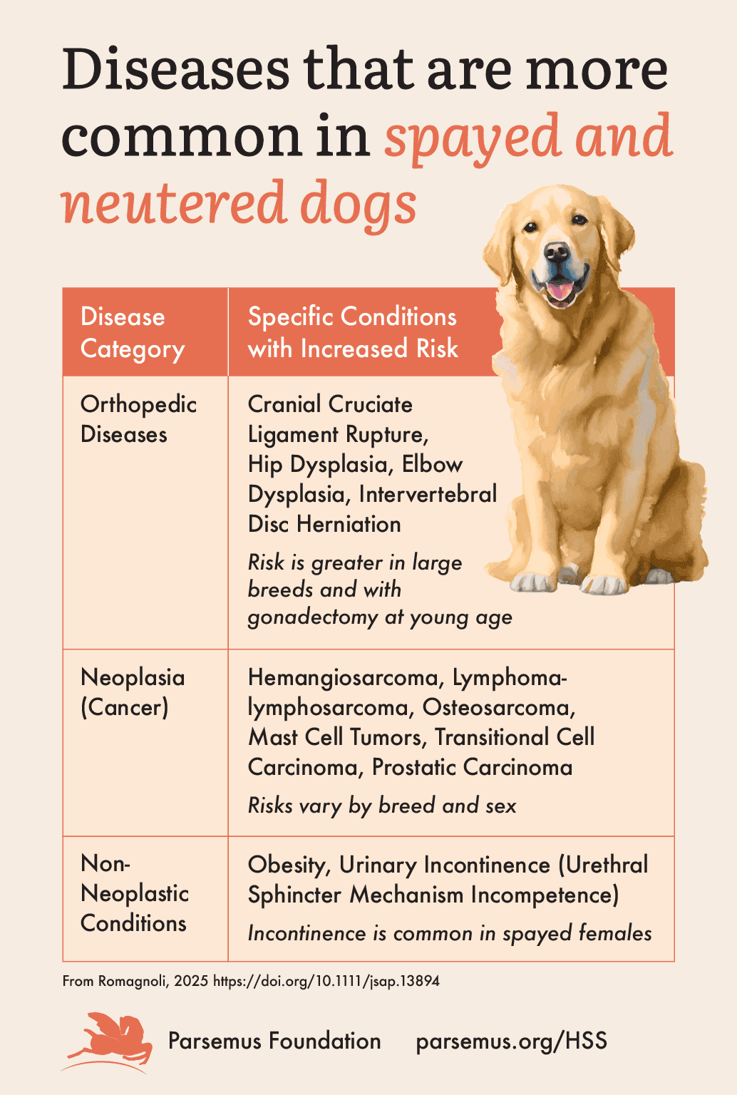 Infographic on diseases more common in spayed and neutered dogs