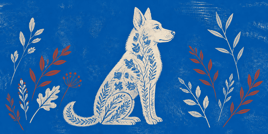 Cryptorchidism in dogs: should you keep a descended testis?