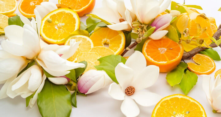 Perfume Trends for Spring 2024: A Fragrant Journey Through Innovation and Tradition