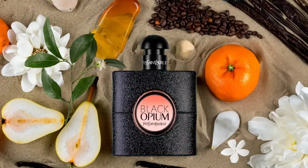 the aromatic journey of black opium yves saint laurent