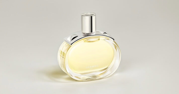 Hermès Barénia: Where Tradition Meets Wild Modernity