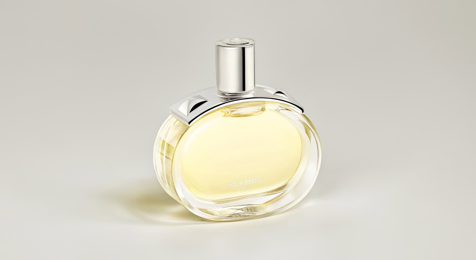 Hermès Barénia: Where Tradition Meets Wild Modernity