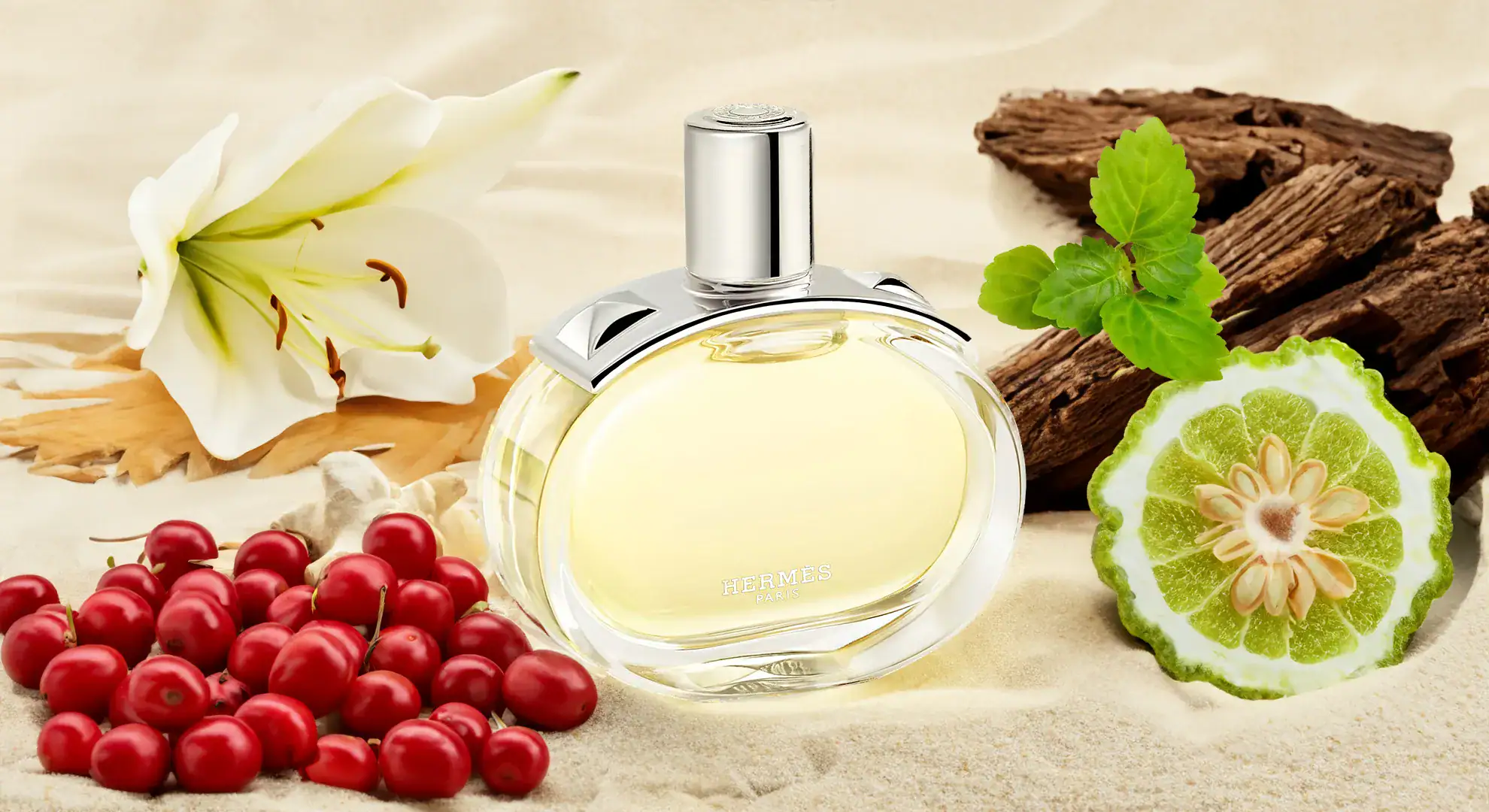 hermès barénia where tradition meets wild modernity new fragrance 2024