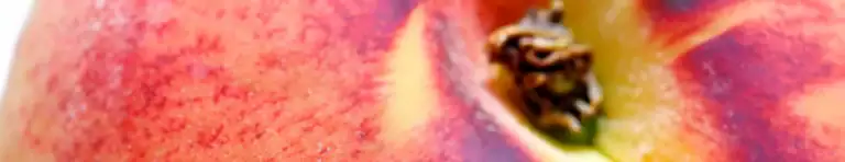 peach in perfumes