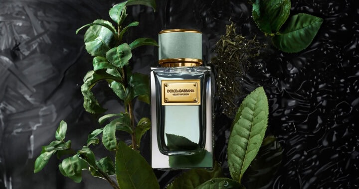 Dolce & Gabbana Velvet Infusion: A Journey Through Scent