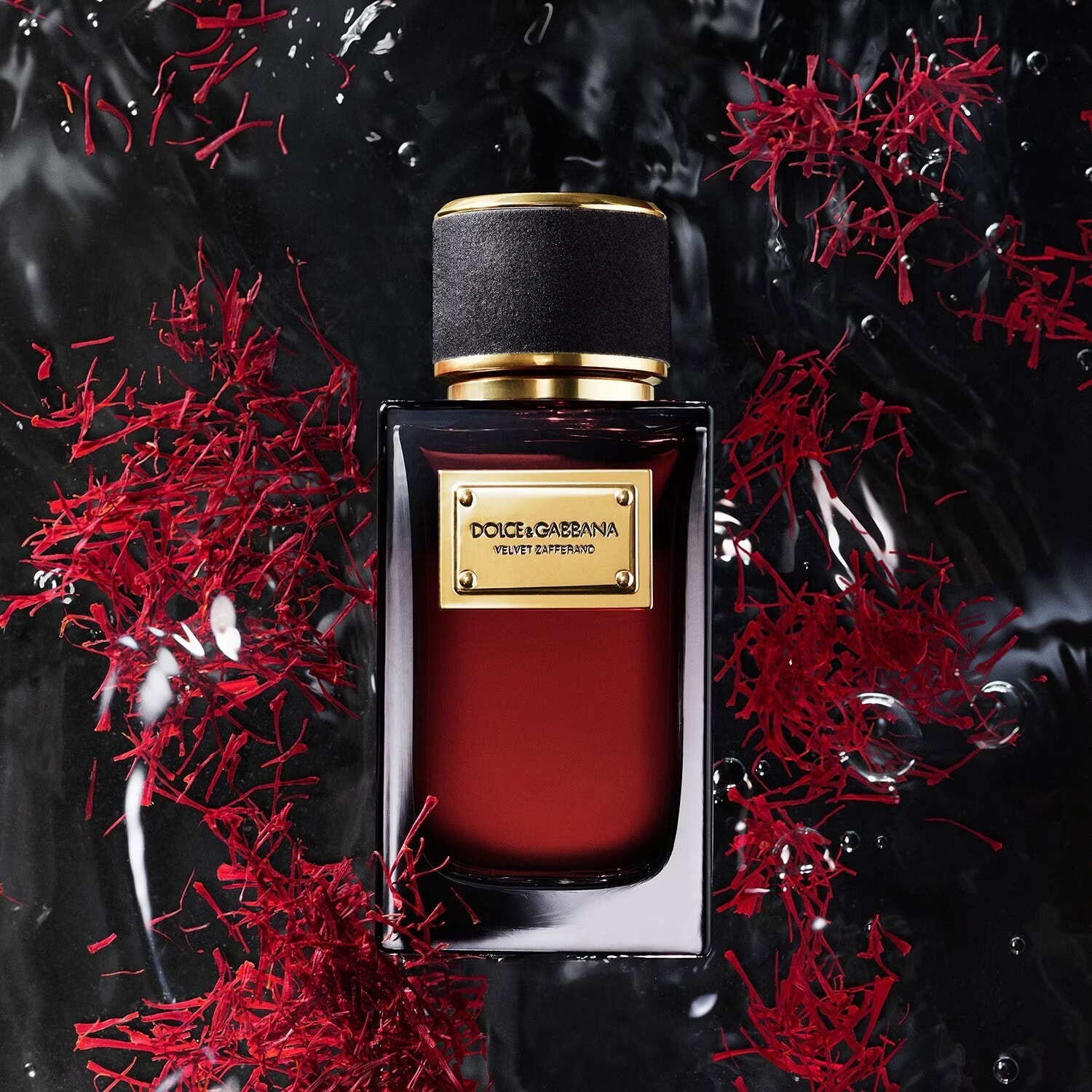 velvet zafferano dolce&gabbana for women and men
