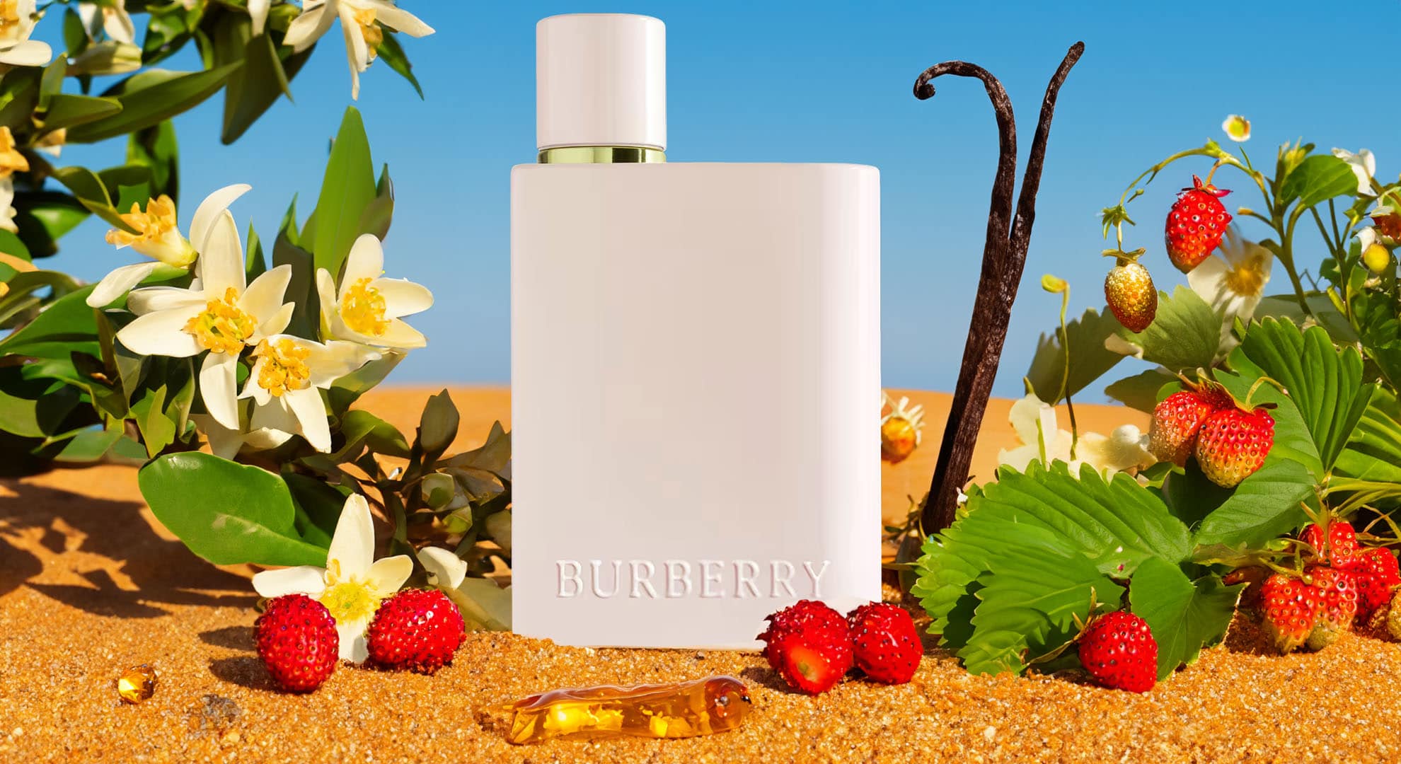 Burberry Her Eau de Parfum Intense 2024 burberry her eau de parfum intense: a celebration of bold elegan
