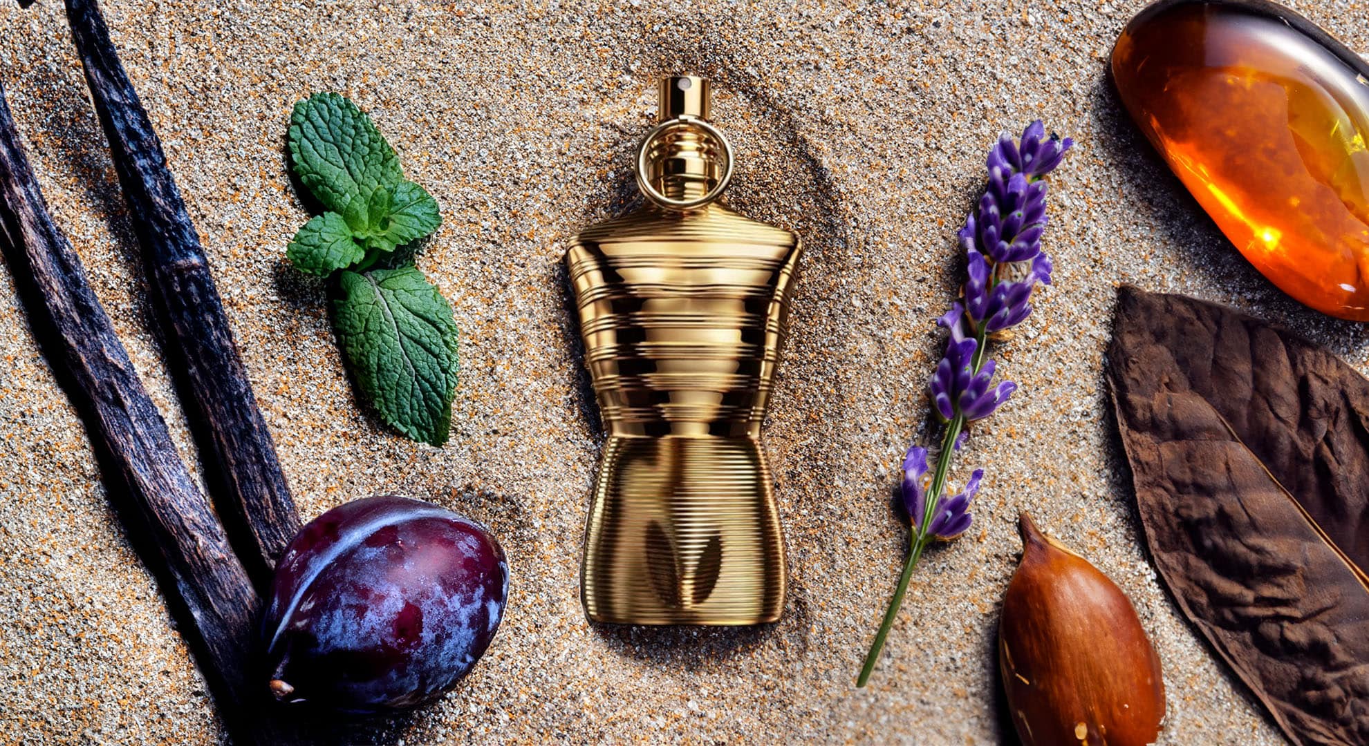 香水(男性用) Jean Paul Gaultier Le Male Elixir ABSOLU Jean Paul Gaultier Men's Le Male Elixir Absolu Parfum