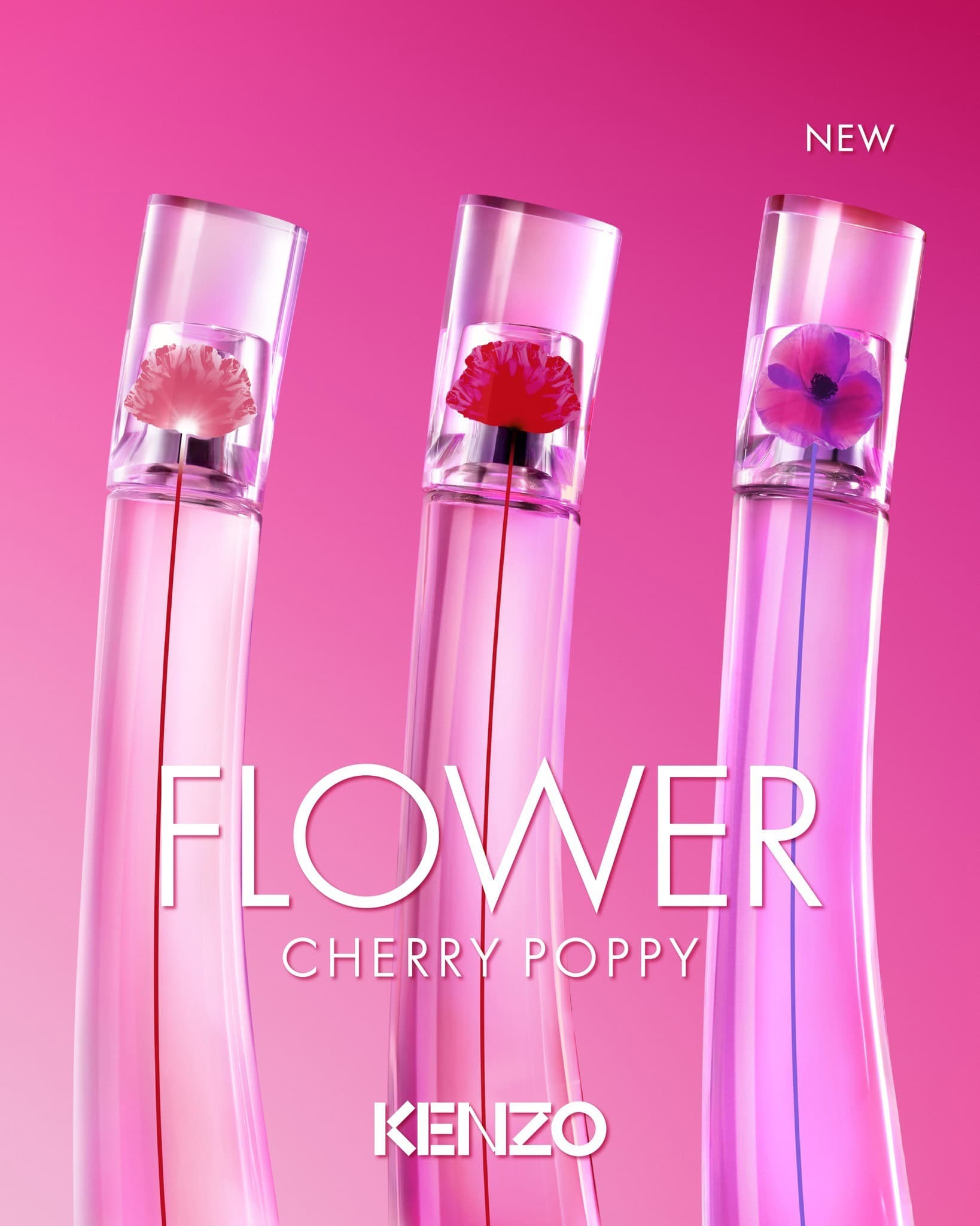 kenzo introduces flower cherry poppy, the newest fragrance in the celebrated flower by kenzo collection 001