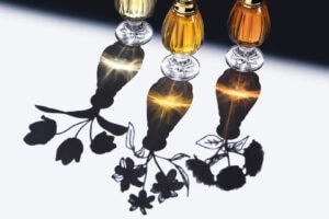Dior Les Récoltes Majeures - a floral fragrance trilogy rooted in Christian Dior’s gardens and crafted by Francis Kurkdjian