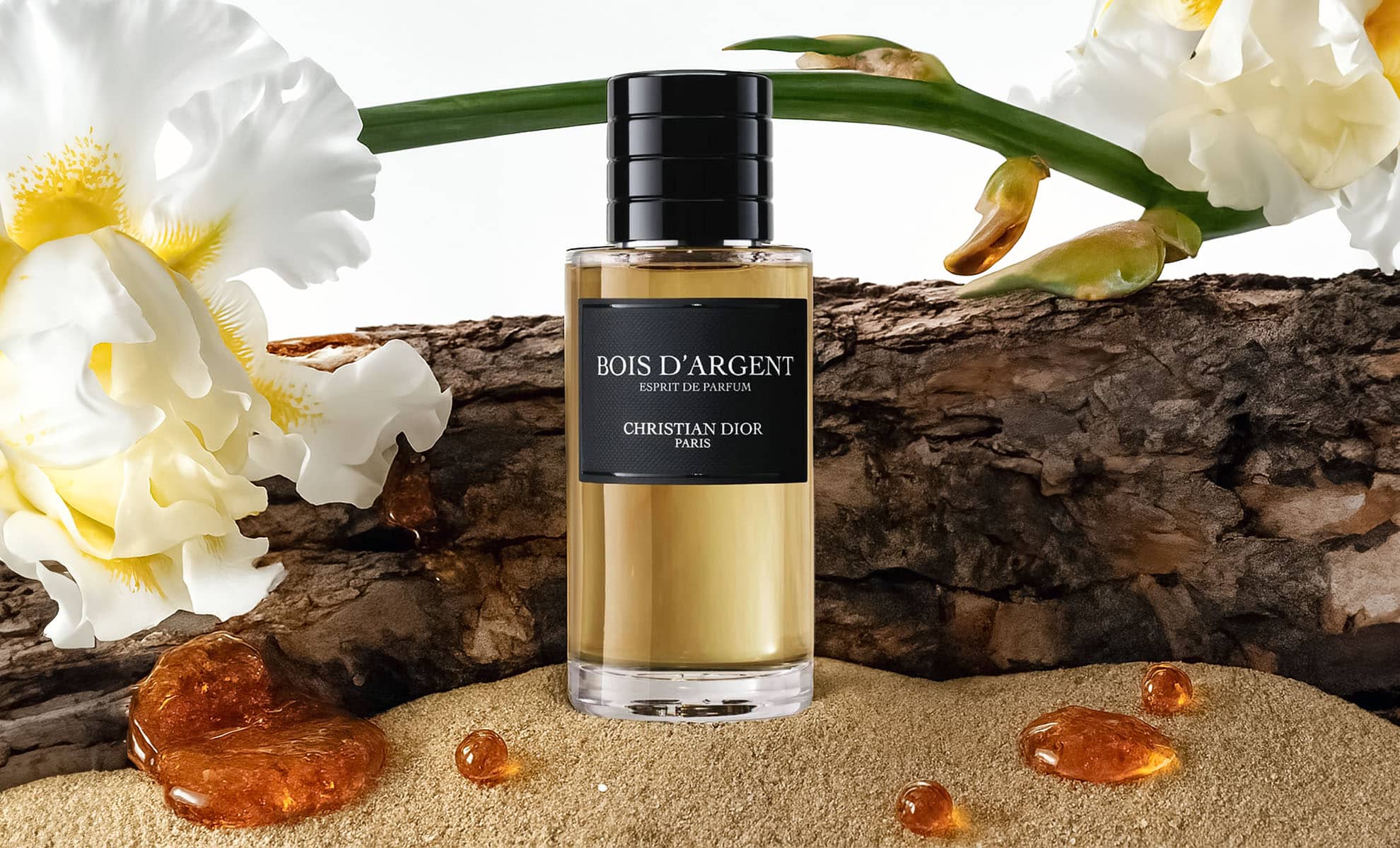 Dior Bois d’Argent Esprit de Parfum – Iris & Frankincense Elegance