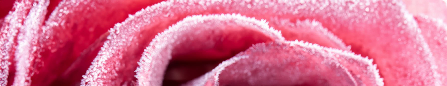 Rose Oxide