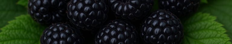 black raspberries in perfume