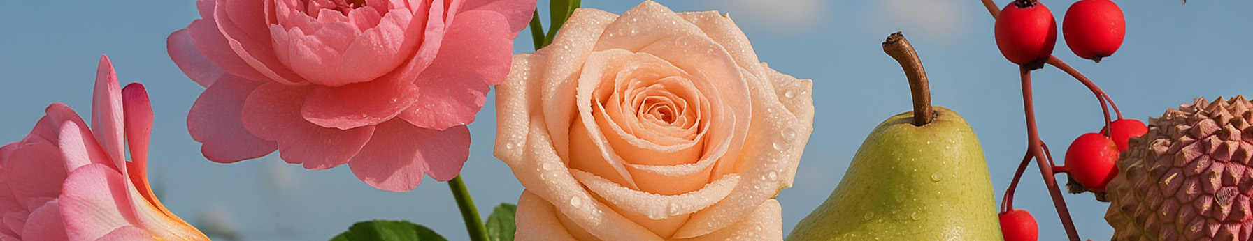 petalia in perfume