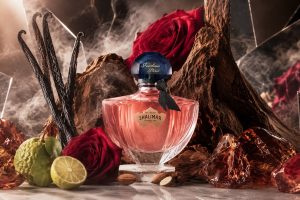 Guerlain Shalimar Millésime Rose – A Grand Rose Vintage Within the 1925 Shalimar Legacy
