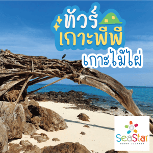 ทัวร์เกาะพีพี | ภูเก็ตชิลล์