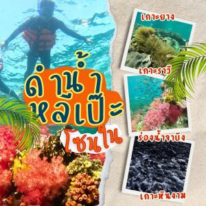 หน้าหลัก | ภูเก็ตชิลล์