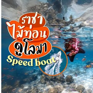ทัวร์เกาะรายา เกาะไม้ท่อน สปีดโบ้ท | ภูเก็ตชิลล์