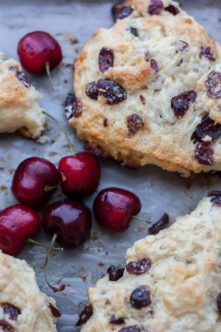 Close up of white chocolate cranberry scones on a baking sheet