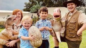 baby dinosaurs