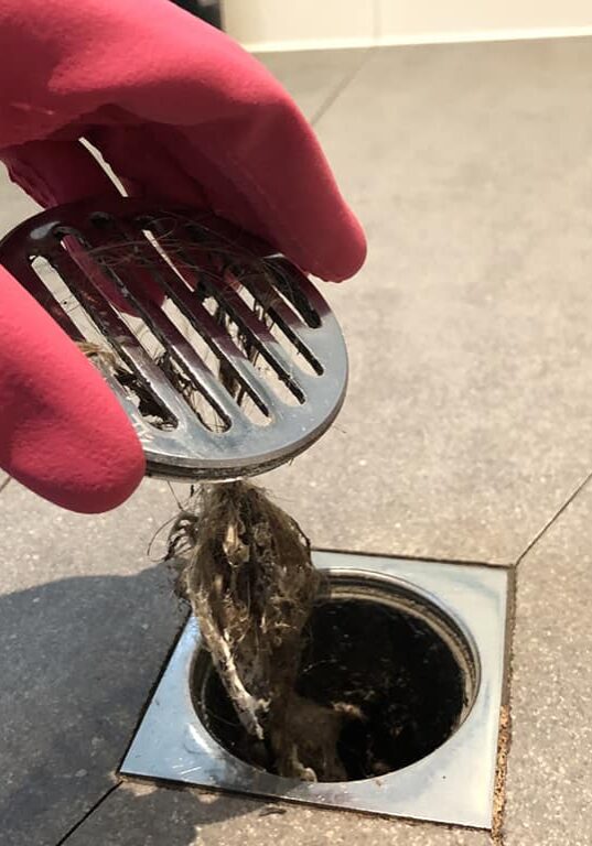 Drain cleaning - Shower drain clog