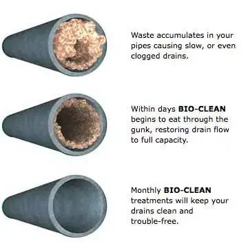 Clogged Pipes