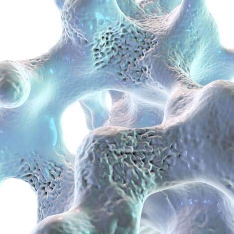 Human Cell, Tissue, and Cellular and Tissue-Based Products (HCT/P) Environmental Monitoring Requirements