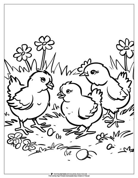 Baby chickens in a grassy field coloring page.