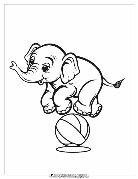 Circus balancing elephant coloring page.