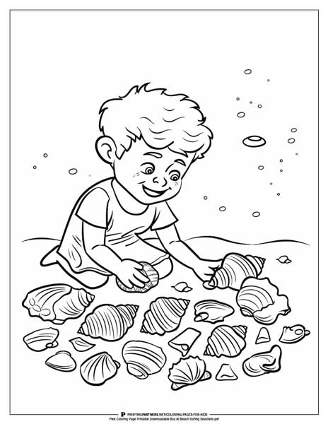 Boy sorting seashells on beach coloring page.