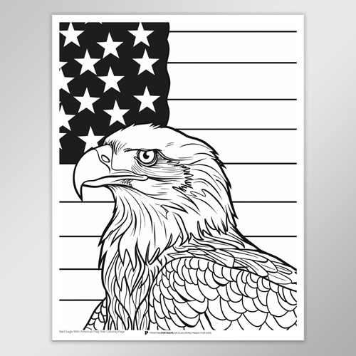 Black and white coloring page featuring a bald eagle next to an American flag design.