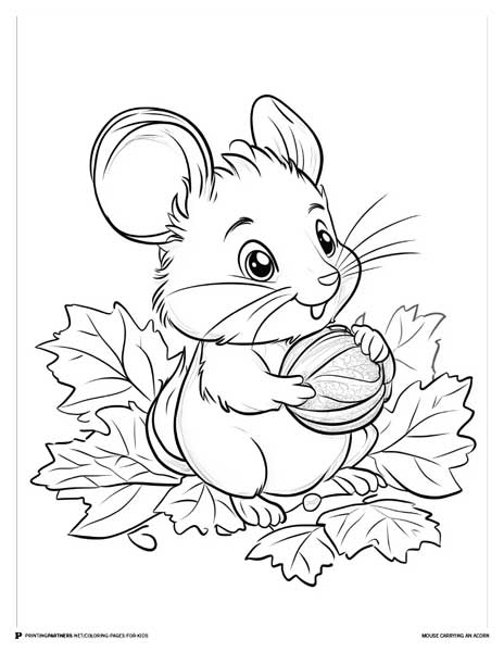 Mouse-Carrying-An-Acorn-Free-Coloring-Page-Printable-22.jpg