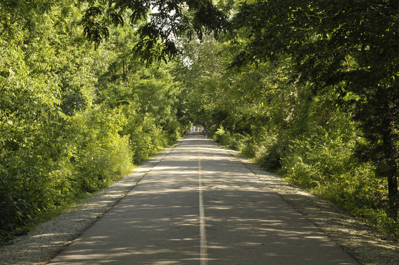 Paved Monon Trail surrounded by greenery in Carmel, Indiana, showcasing a clear path through trees.