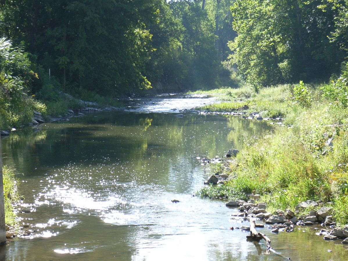 White Lick Creek in Plainfield, Indiana