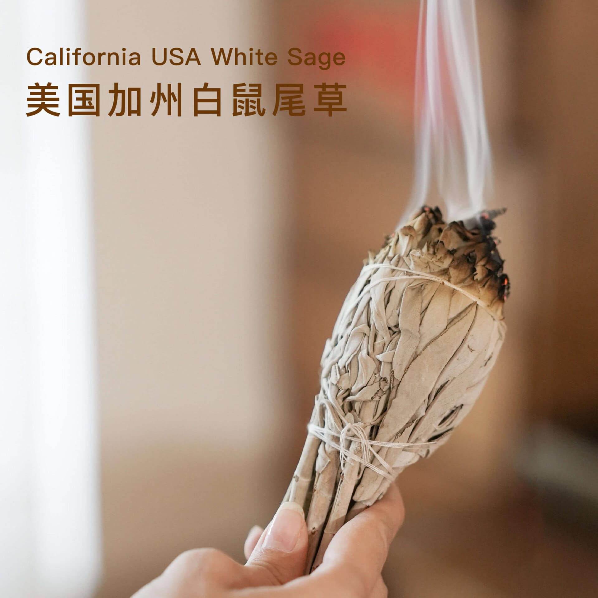 舒懷加州白鼠尾草天然植物香薰香料草仗