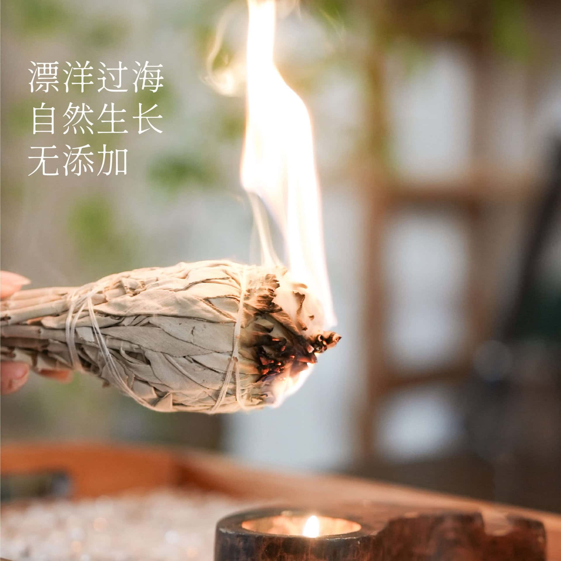 舒懷加州白鼠尾草天然植物香薰香料草仗：圖片 3