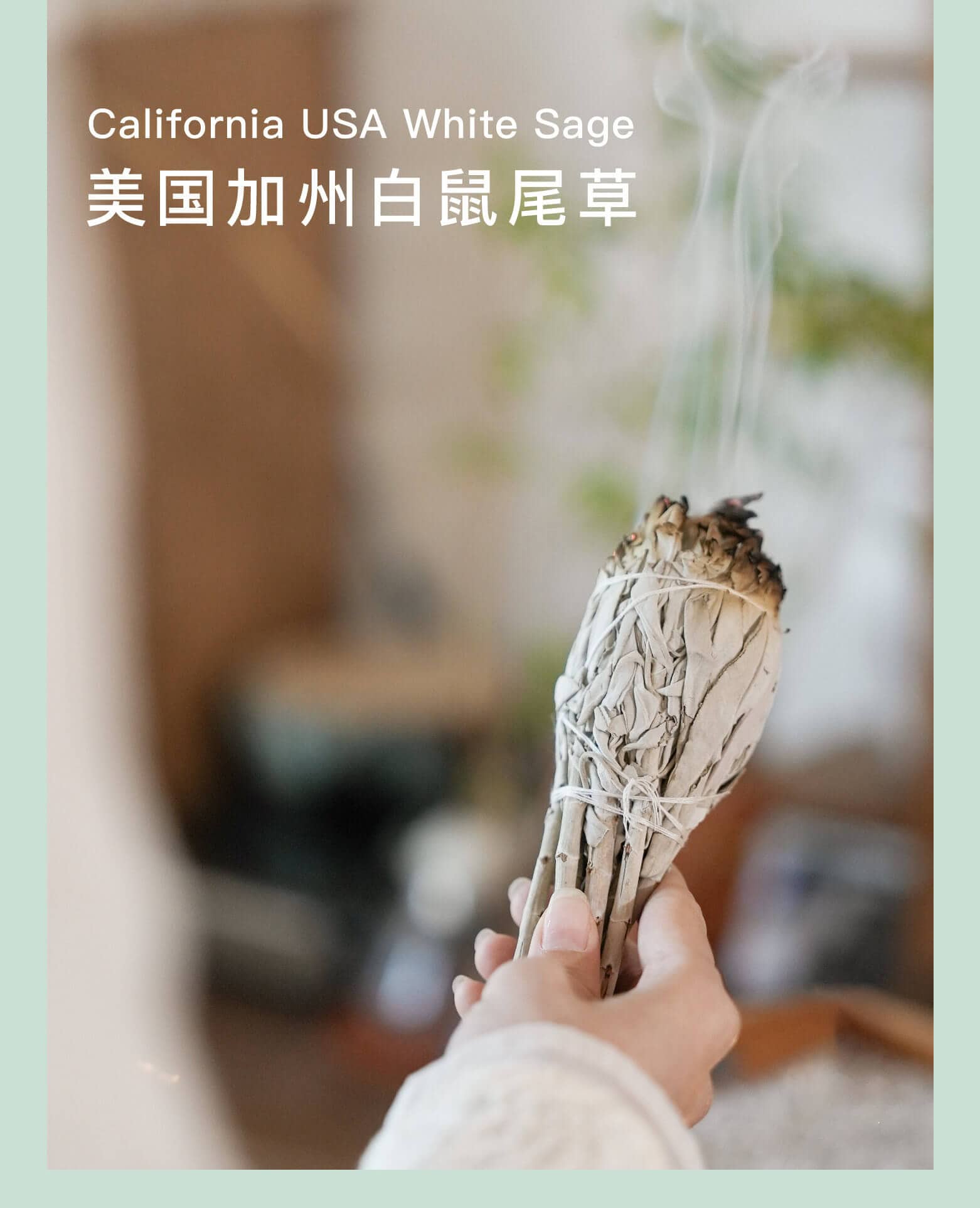 《調節情緒》加州白鼠尾草天然植物香薰香料草仗