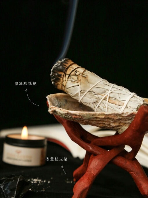 植愈白鼠尾草聖木容器香薰盛具鮑魚殼