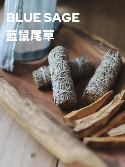 清幽加州藍鼠尾草芳香空間植物香薰