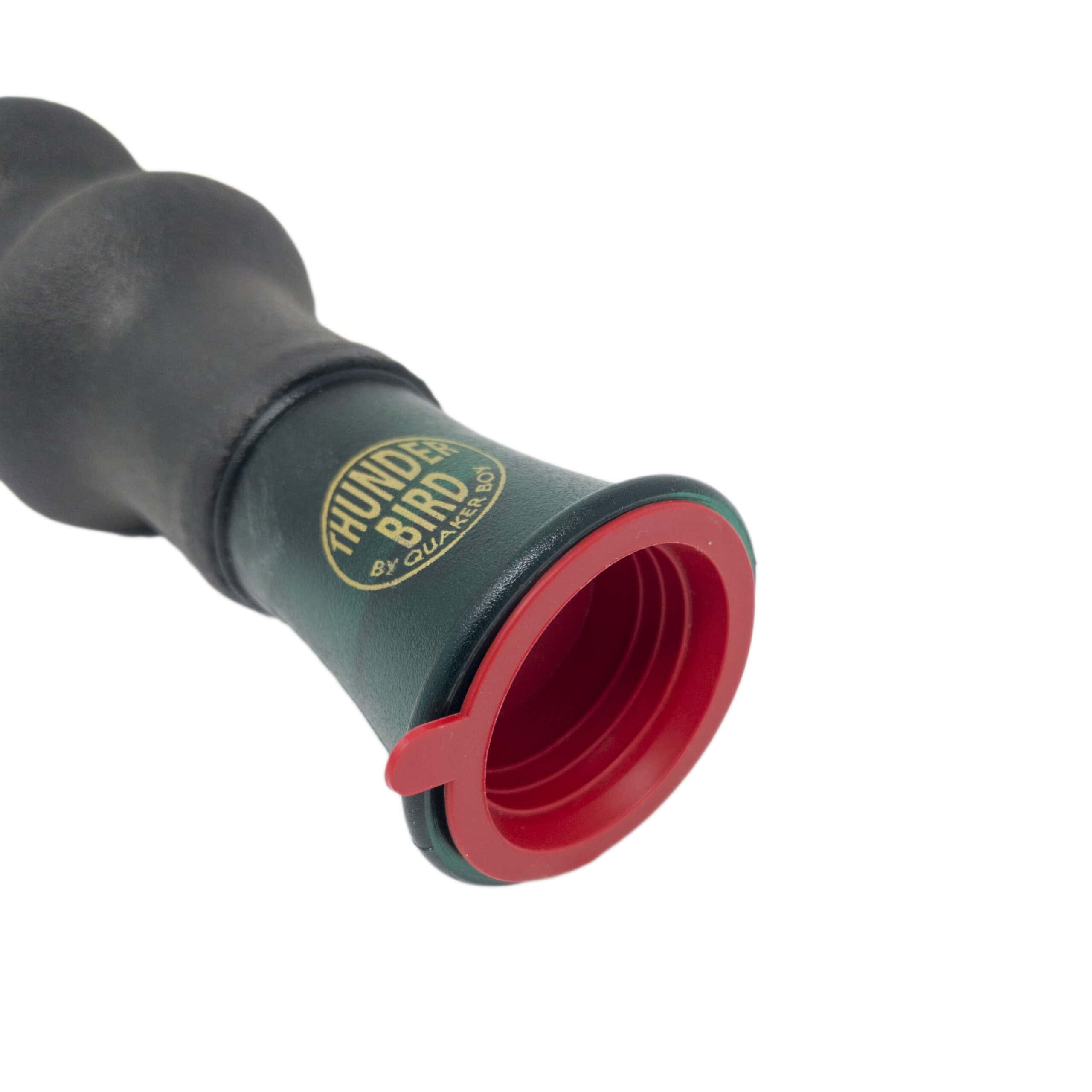 Thunderbird ™ - Image 3