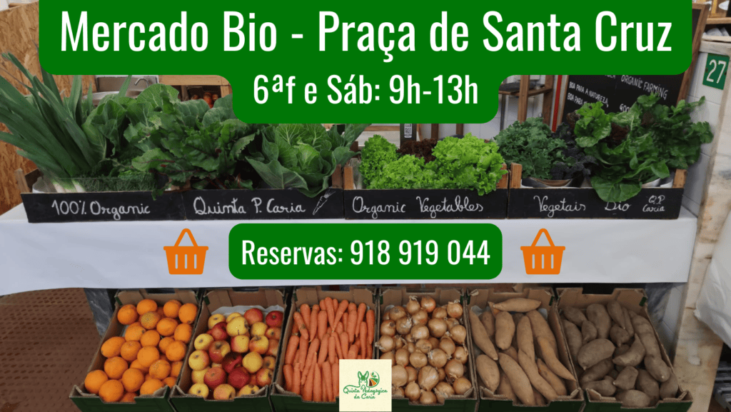 Mistura de hortícolas orgânicas na feira da Quinta da Caria.