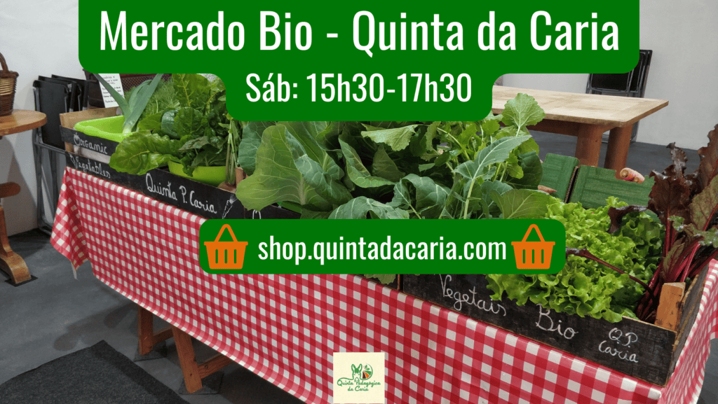 Verduras biológicas na Feira Orgânica da Quinta da Caria.