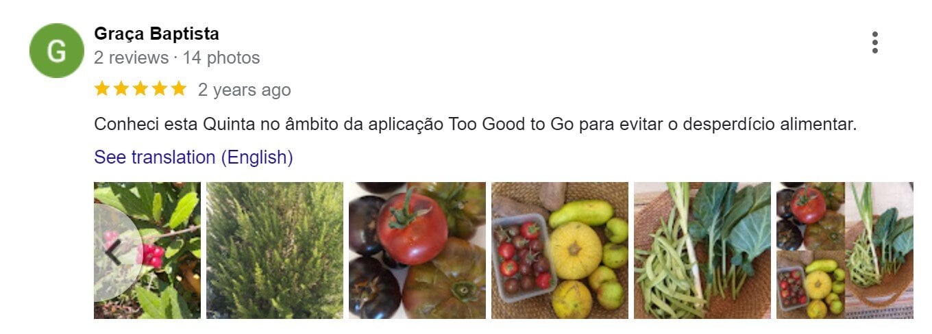 Variedades de frutas e legumes cultivados na Quinta da Caria, visando sustentabilidade e qualidade.