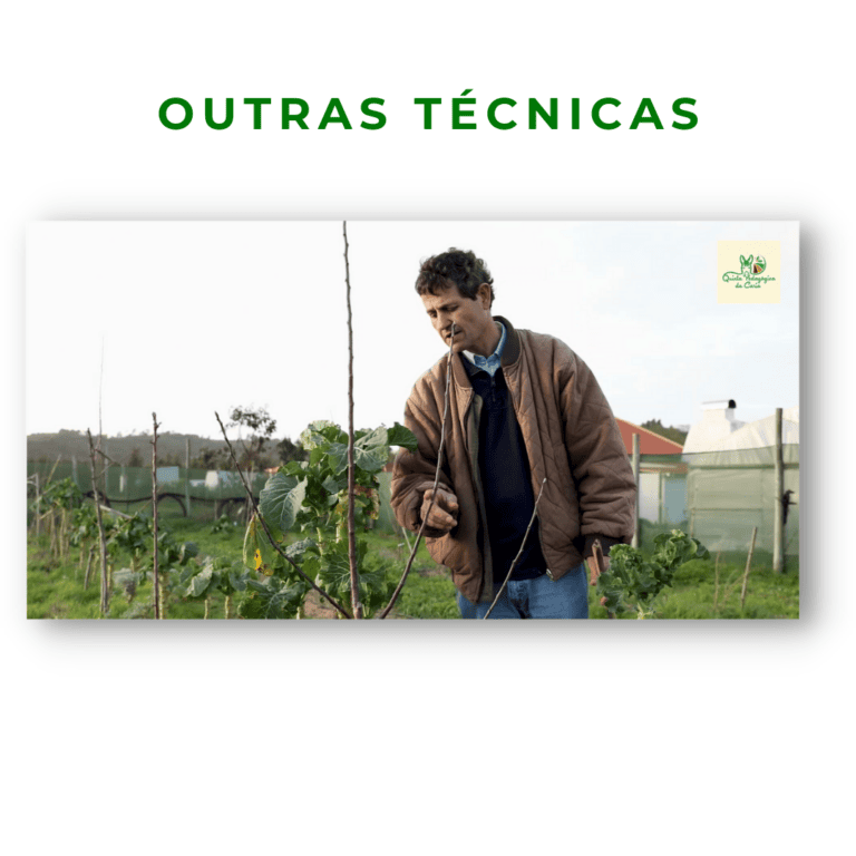 Formador a explicar outras técnicas de poda em árvore em eixo central