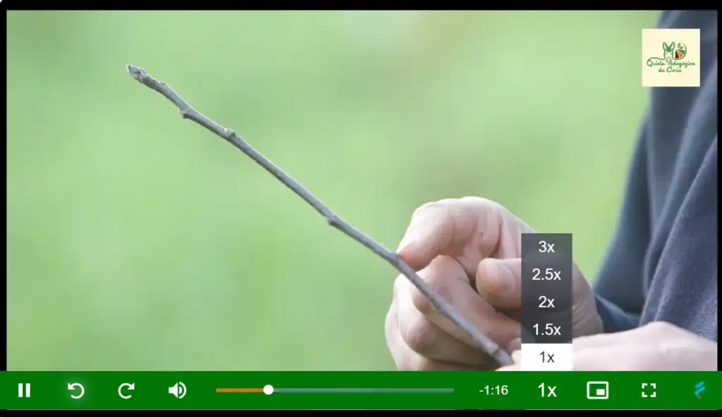 Aula prática online do curso de poda - introdução aos tipos de cortes