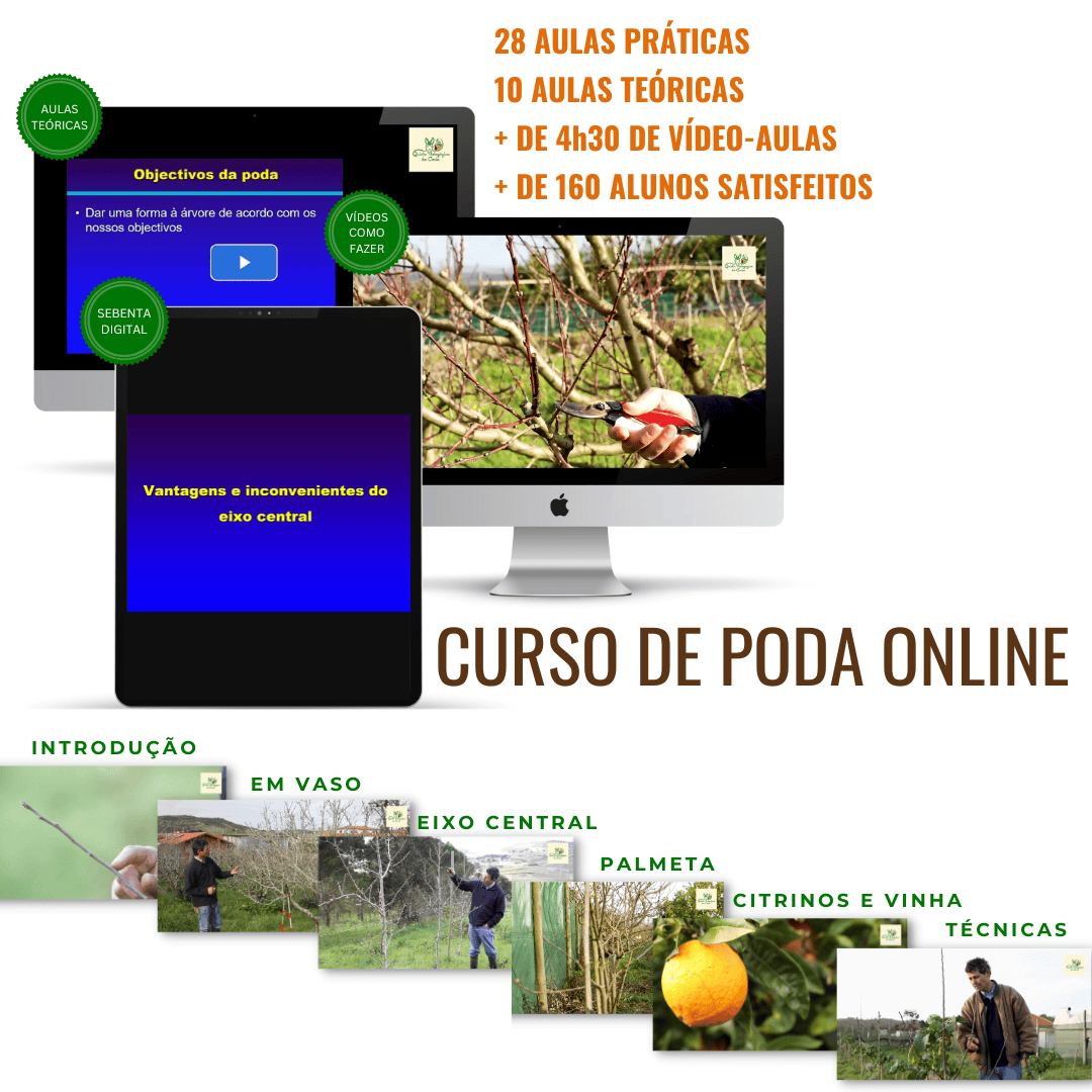 Pack do Curso de Poda Online com 7 módulos, sebenta digital, 28 aulas práticas, 10 aulas teóricas num total de mais de 4h30 de vídeo aulas e com mais de 160 alunos satisfeitos