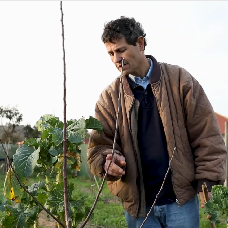 Formador do curso de poda da Caria - Eng. José Carlos Ferreira