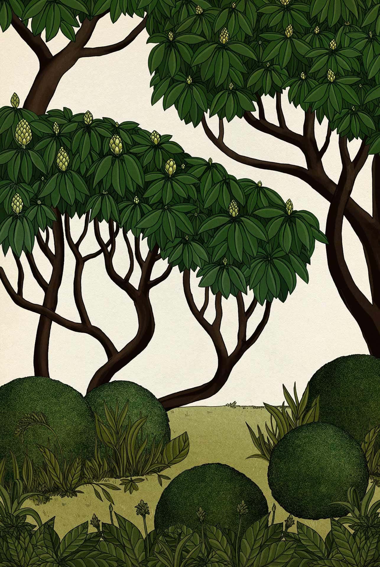 Ralf Schmitz Immobilien